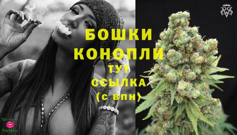 кракен маркетплейс  Александровск  Марихуана SATIVA & INDICA  цены наркотик 